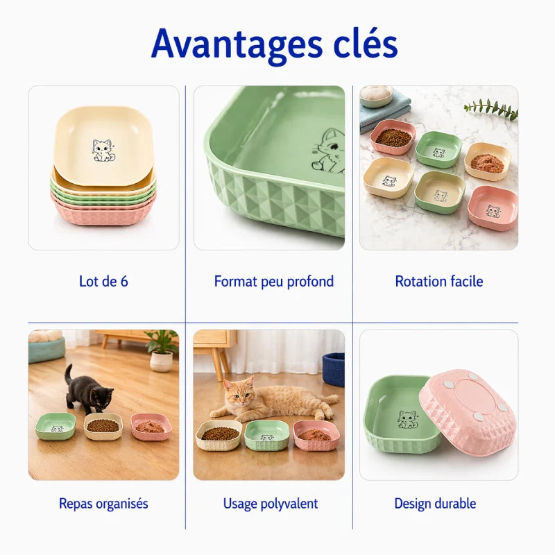 Gamelle chaton lot de 6 - Gacubi : avantages clés - AstuceChat