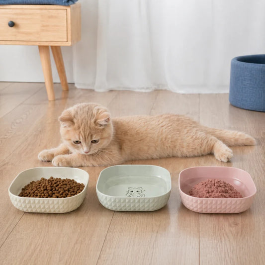 Gamelle Chaton Lot de 6 - Gacubi : repas organisés pour jeune chat - AstuceChat