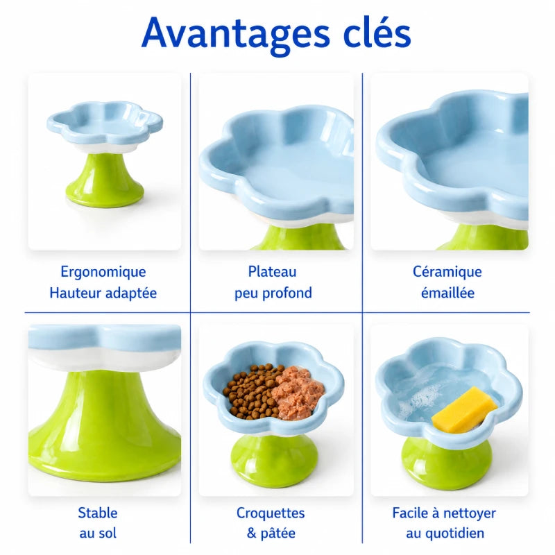 Gamelle chaton surélevée - Galora : avantages clés du modèle Bleu Céleste - AstuceChat
