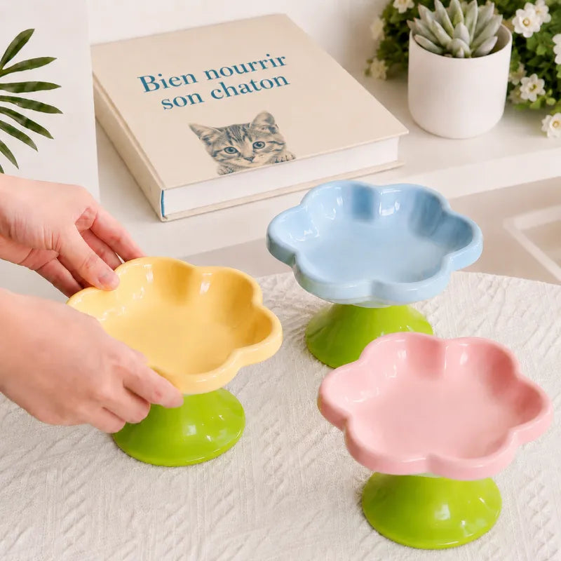 Gamelle chaton surélevée - Galora : mise en place des modèles Jaune Miel, Bleu Céleste et Rose Poudré - AstuceChat