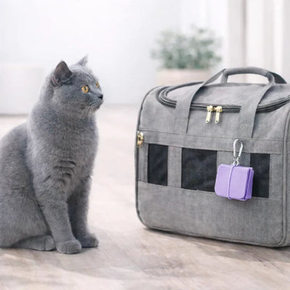 Gamelle de voyage chat - Gaplio : British Shorthair gris - AstuceChat