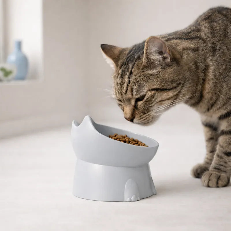 Gamelle design pour chat - Gaféli : lifestyle chat tigré - AstuceChat