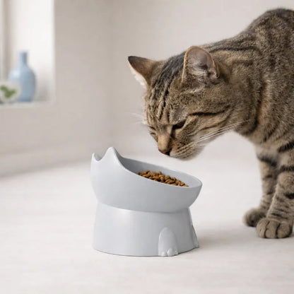 Gamelle design pour chat - Gaféli : lifestyle chat tigré - AstuceChat