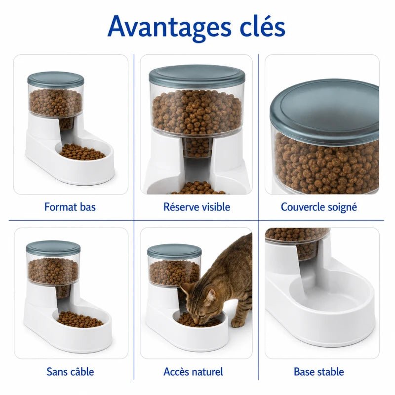 Gamelle distributeur chat - Celvia : avantages clés, format bas, réserve visible, couvercle soigné, sans câble, accès naturel et base stable - AstuceChat