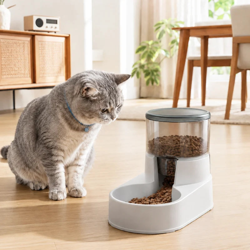Gamelle distributeur chat - Celvia : chat gris devant le distributeur dans un intérieur lumineux - AstuceChat