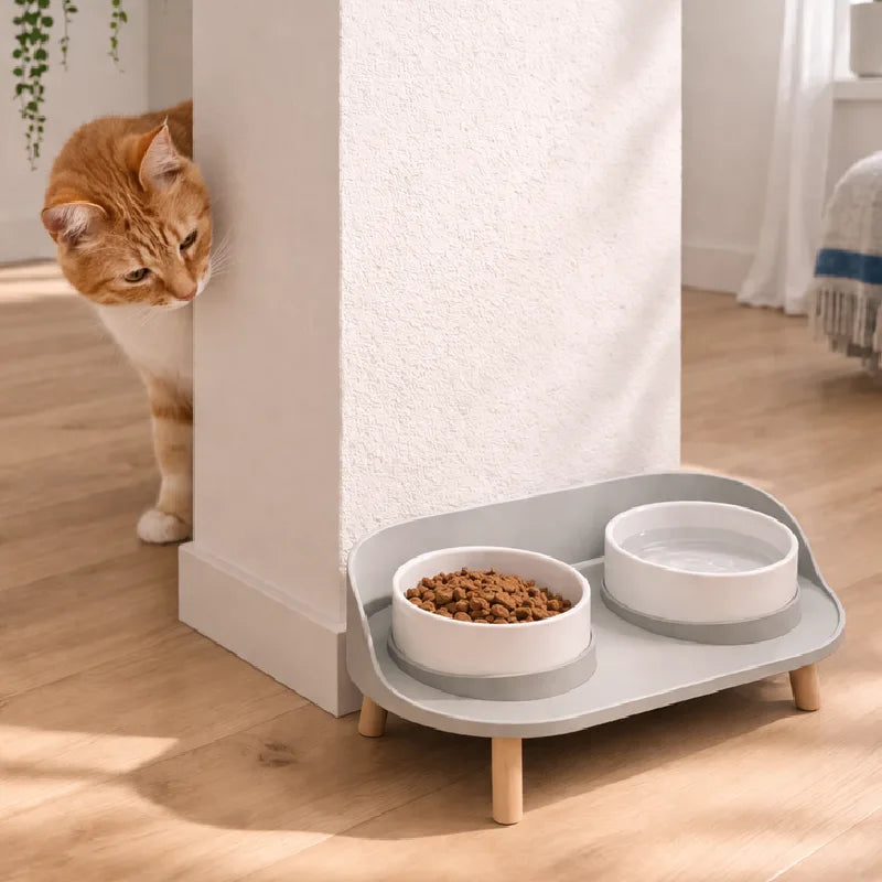 Gamelle double chat - Garélis : chat roux et coin repas net mieux organisé - AstuceChat