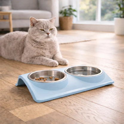 Gamelle eau chat anti renversement - Galance : chat devant la gamelle - AstuceChat