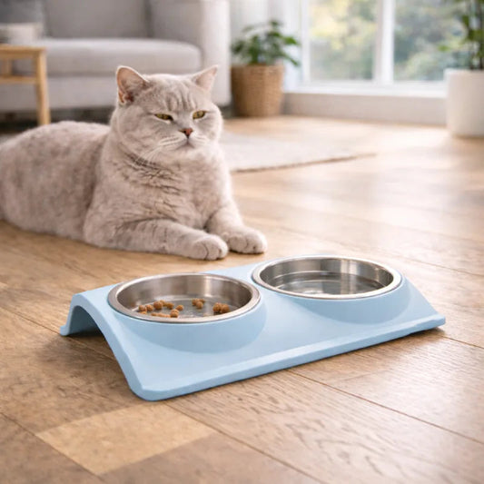 Gamelle eau chat anti renversement - Galance : chat devant la gamelle - AstuceChat