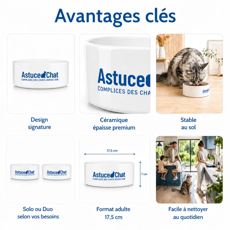 Gamelle en ceramique pour chat - Gastuce : avantages clés design signature, format adulte et nettoyage facile - AstuceChat
