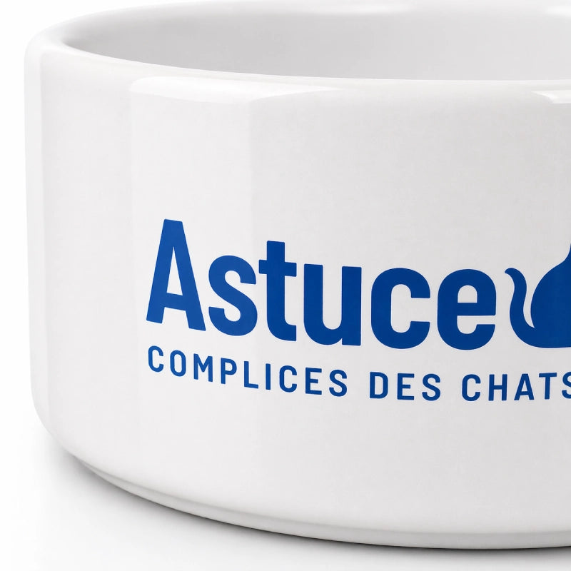 Gamelle en ceramique pour chat - Gastuce : détails sur céramique Blanc Neige - AstuceChat