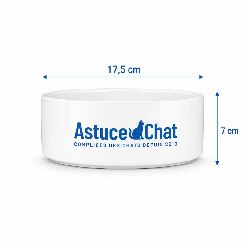 Gamelle en ceramique pour chat - Gastuce : dimensions 17,5 cm et 7 cm Blanc Neige - AstuceChat