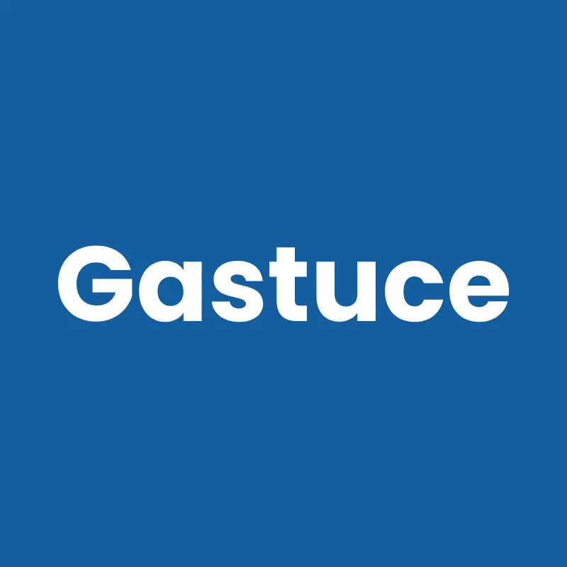 Gamelle en ceramique pour chat - Gastuce : nom du produit Gastuce - AstuceChat