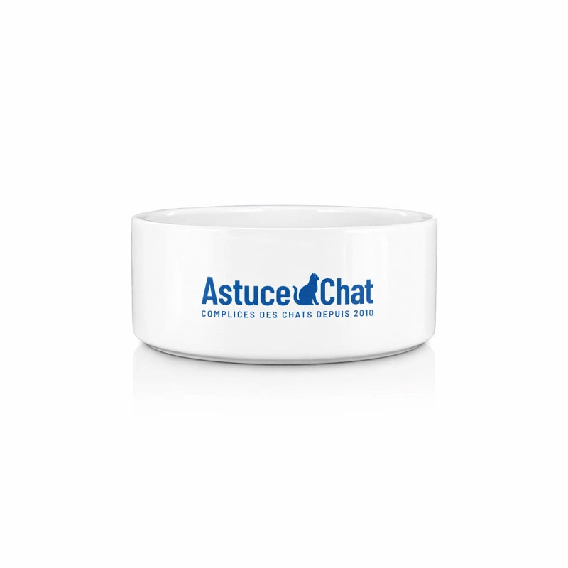 Gamelle en ceramique pour chaton - Gadix : version solo - AstuceChat