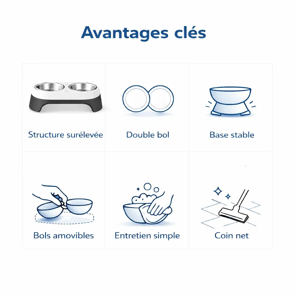 Gamelle en hauteur pour chat - Galyo : avantages clés - AstuceChat