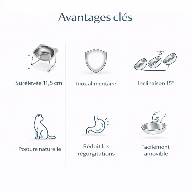 Gamelle en inox pour chat - Galiox : avantages clés - AstuceChat