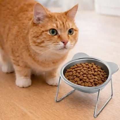 Gamelle en inox pour chat - Galiox : lifestyle chat roux - AstuceChat