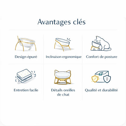 Gamelle en verre pour chat - Gadéko : avantages clés - AstuceChat