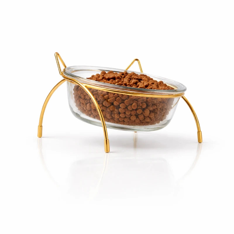 Gamelle en verre pour chat - Gadéko - bol rempli de croquettes sur support doré - AstuceChat