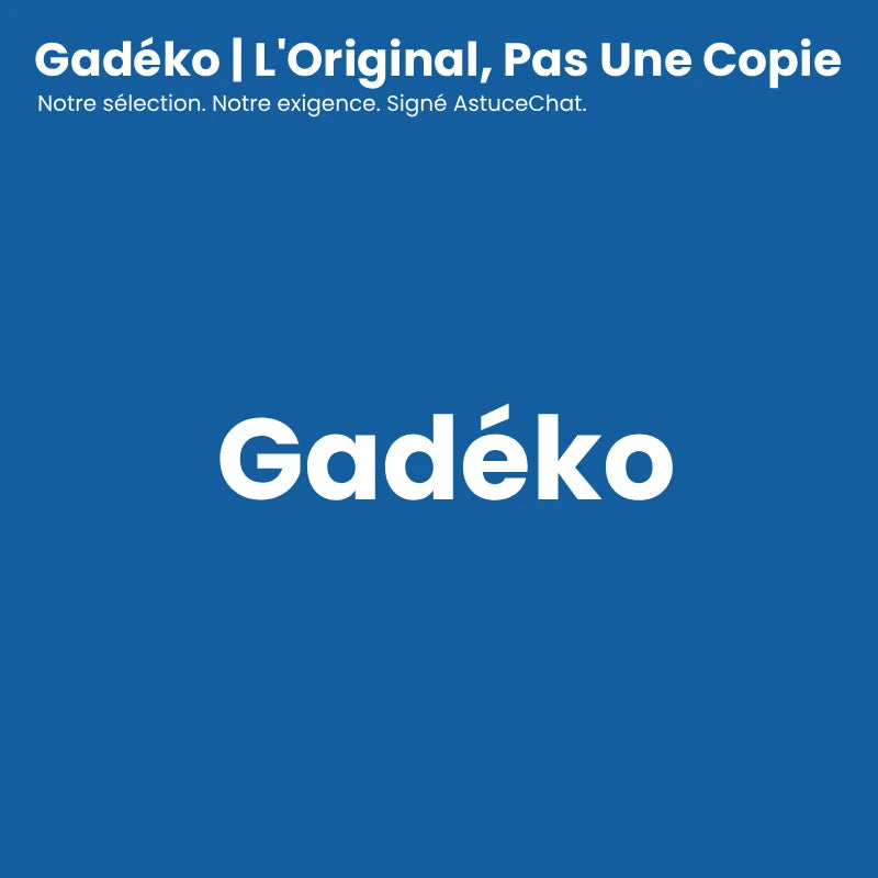 Gamelle en verre pour chat - Gadéko - l original pas une copie - AstuceChat