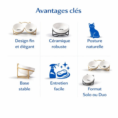 Gamelle ergonomique chat - Gavielle : avantages clés - AstuceChat