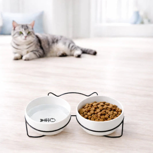 Gamelle ergonomique chat - Gavielle : chat devant sa gamelle - AstuceChat