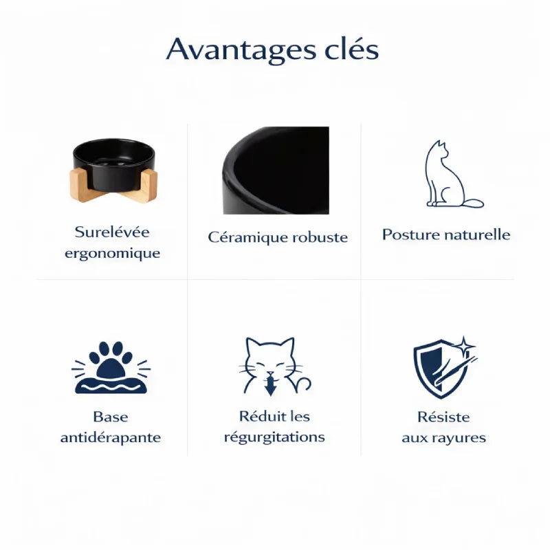 Gamelle ergonomique pour chat - Galvo : avantages clés avec céramique robuste, posture naturelle et base antidérapante - AstuceChat