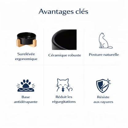 Gamelle ergonomique pour chat - Galvo : avantages clés avec céramique robuste, posture naturelle et base antidérapante - AstuceChat