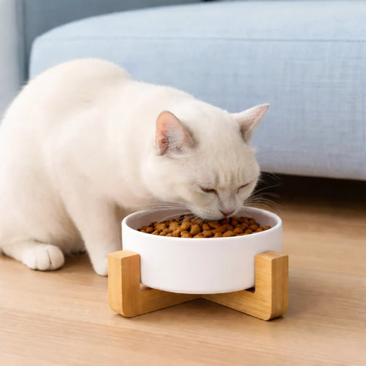Gamelle ergonomique pour chat - Galvo : chat blanc qui mange dans un bol Blanc Nacré sur support en bois - AstuceChat