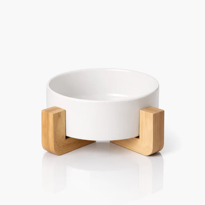 Gamelle ergonomique pour chat - Galvo : modèle Blanc Neige Solo - AstuceChat