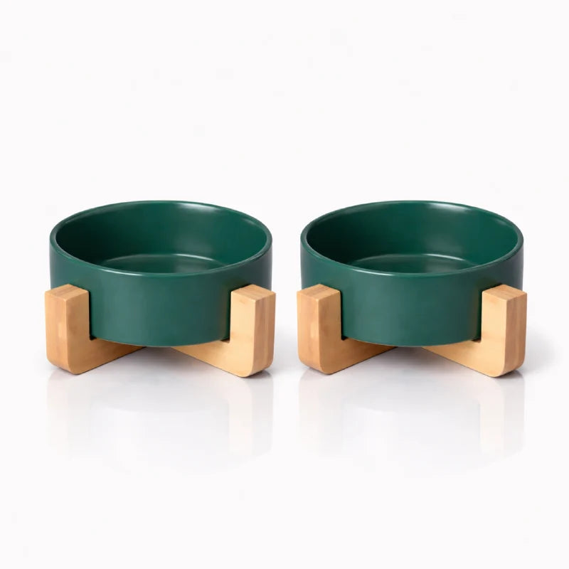 Gamelle ergonomique pour chat - Galvo : modèle Vert Sauge Duo - AstuceChat