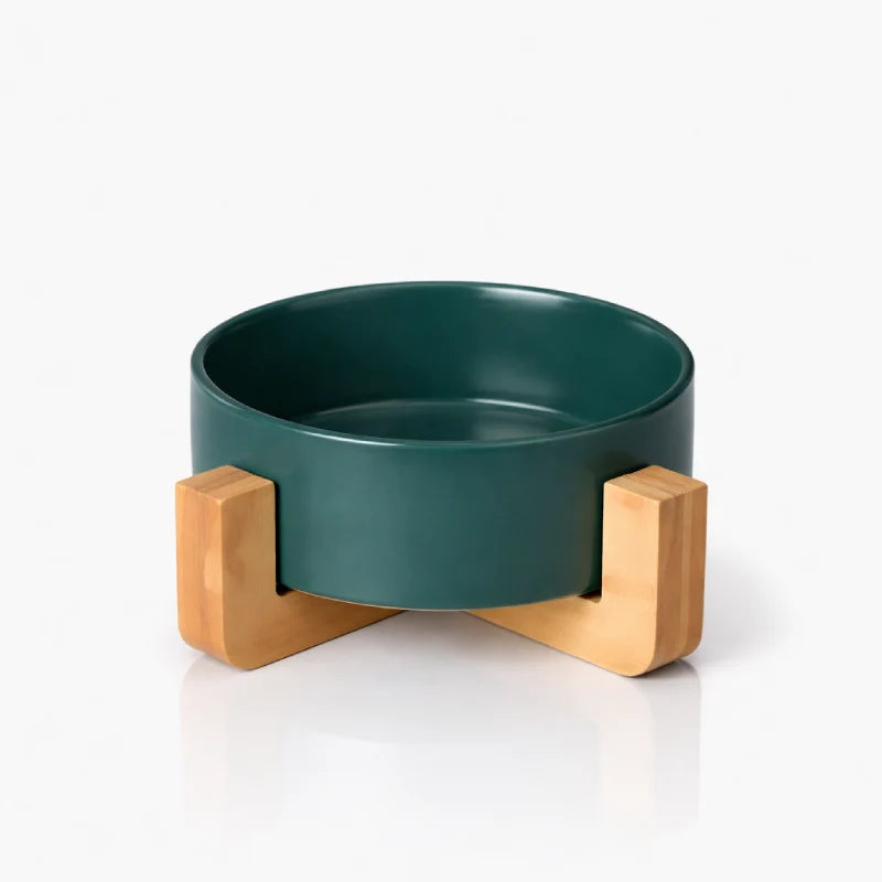 Gamelle ergonomique pour chat - Galvo : modèle Vert Sauge Solo - AstuceChat