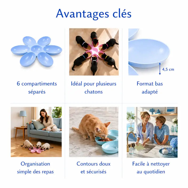 Gamelle fleur pour plusieurs chatons - Gaflora : avantages clés avec céramique robuste, posture naturelle et base antidérapante - AstuceChat