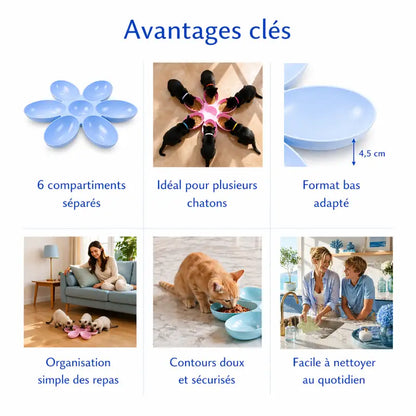  Gamelle fleur pour plusieurs chatons - Gaflora : avantages clés avec céramique robuste, posture naturelle et base antidérapante - AstuceChat
