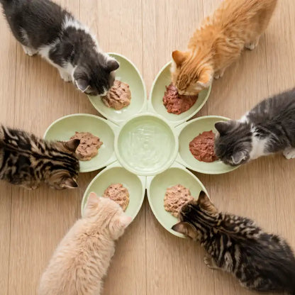 Gamelle fleur pour plusieurs chatons - Gaflora : modèle Vert Tilleul - AstuceChat