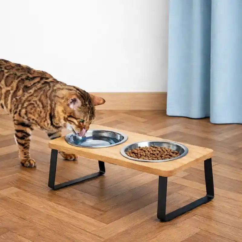 Gamelle inclinée pour chat - Garéon : vue ambiance chat tigré - AstuceChat