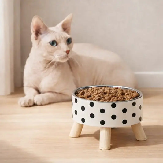 Gamelle Inox Chat - Galéox : chat beige devant la gamelle surélevée à pois avec croquettes, AstuceChat