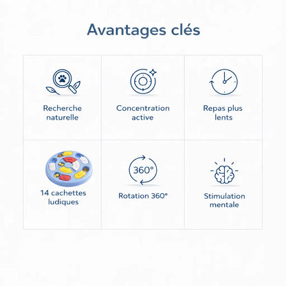 Gamelle labyrinthe chat - Galaby : avantages clés avec recherche naturelle, rotation 360° et stimulation mentale - AstuceChat