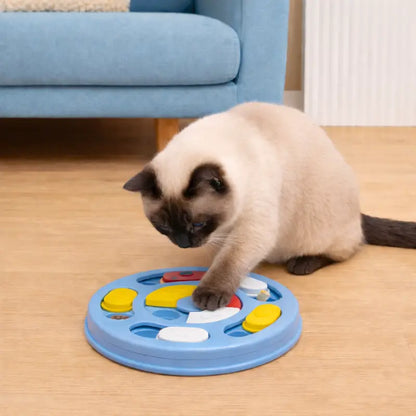 Gamelle labyrinthe chat - Galaby : chat siamois en pleine exploration du jeu interactif - AstuceChat