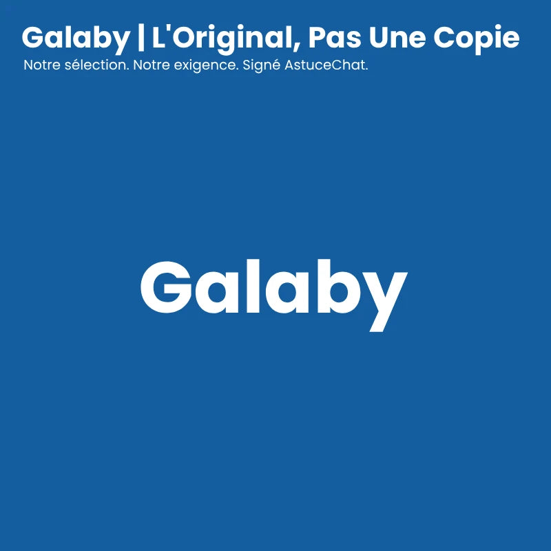 Gamelle labyrinthe chat - Galaby : visuel de présentation Galaby l'original, pas une copie - AstuceChat