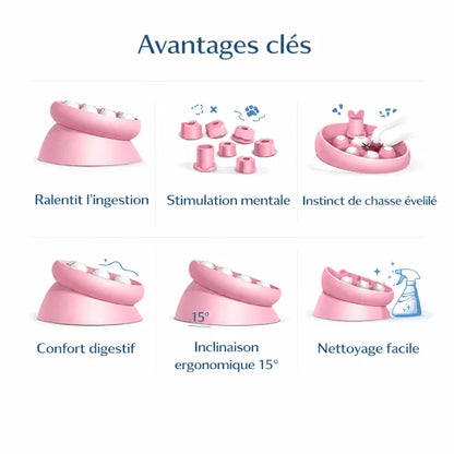 Gamelle ludique chat - Galudi : avantages clés - AstuceChat