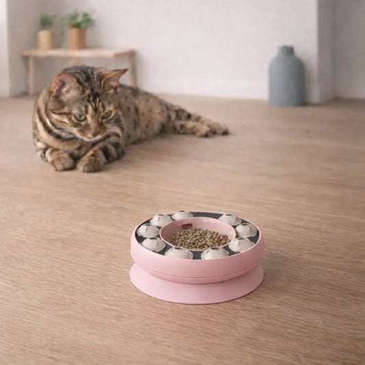 Gamelle ludique pour chat - Galudi - chat bengal interaction alimentaire - AstuceChat