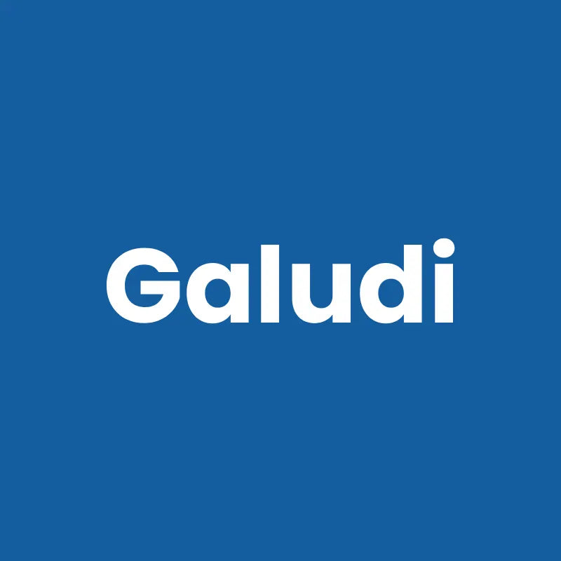 Gamelle ludique chat - Galudi, nom du produit - AstuceChat