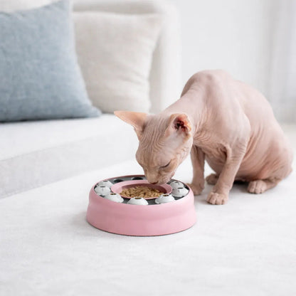 Gamelle ludique chat - Galudi : vue utilisation - AstuceChat