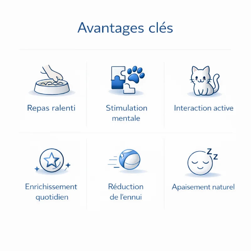 Gamelle ludique pour chat - Galudéa : avantages clés - AstuceChat
