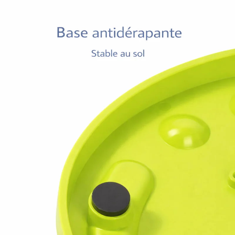 Gamelle ludique pour chat - Galudéa : base antidérapante - AstuceChat