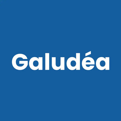 Gamelle ludique pour chat - Galudéa, nom de produit  - AstuceChat