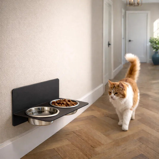 Gamelle murale chat - Gamural : lifestyle chat roux et blanc - AstuceChat