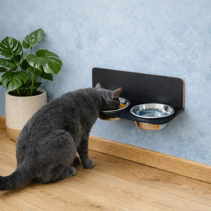 Gamelle murale chat - Gamural : vue utilisation British Shorthair gris - AstuceChat