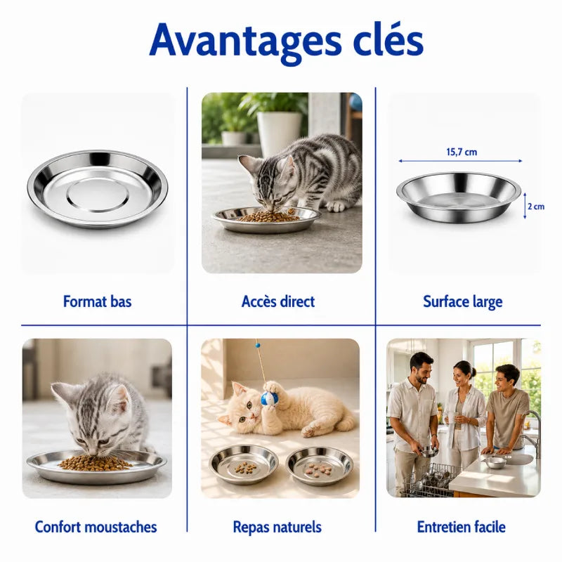 Gamelle plate pour chaton - Ganox : avantages clés du produit - AstuceChat