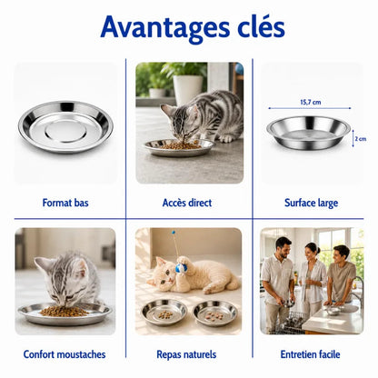 Gamelle plate pour chaton - Ganox : avantages clés du produit - AstuceChat